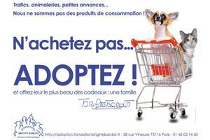 La nouvelle campagne d’affichage de la Fondation Brigitte Bardot, visible depuis ce matin à Paris et en Ile de France. 