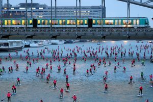 Balade en paddle sur la Seine : plus de 700 participants