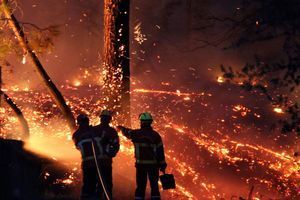 L'incendie spectaculaire de la forêt de Chiberta, une zone de pinède de 270 hectares en plein coeur de ville à Anglet, a détruit 165 hectares de végétation.