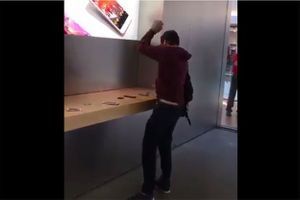 Dans la boutique Apple, le jeune homme avait frappé plusieurs téléphones et tablettes avec une boule de pétanque.