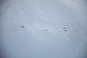 Avalanche meurtrière au Mont Maudit en 2012.