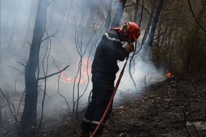 Plusieurs incendies se sont déclarés dans le Sud de la France