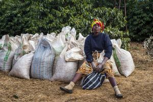 Une femme zambienne assise à côté de sacs remplis de cerises