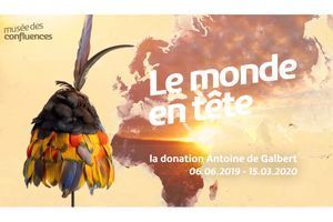 Découvrez la bande-annonce de l'exposition Le monde en tête, la donation Antoine de Galbert