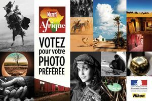 L’été algérien de la photo amateur