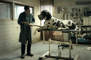 Bande-annonce : "Dogman" s'annonce mordant