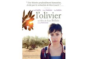 L'affiche de "L'Olivier" d'Iciar Bollain