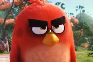 La bande-annonce du jour: "Angry Birds"