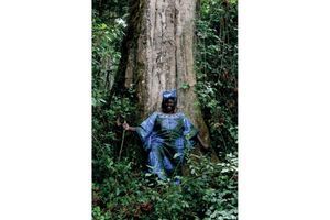 Wangari Maathai, protectrice de la forêt kenyane. 