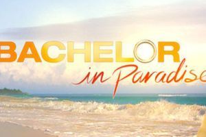 Le tournage de "Bachelor in Paradise" a été interrompu. 