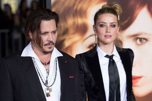 Johnny Depp et Amber Heard, novembre 2015