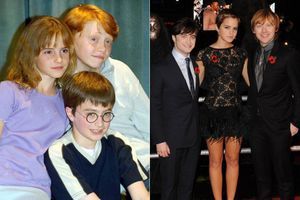 Les acteurs d'«Harry Potter» réunis pour les 20 ans du premier film