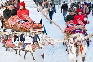 Silvia et Carl XVI Gustaf, à la rencontre des Samis et de leurs rennes