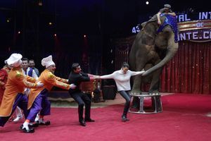 Stéphanie de Monaco retrouve ses très chers amis du cirque