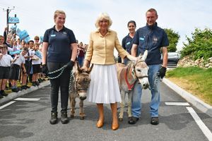 Camilla Parker Bowles pose avec les ânes "William et Harry" pour ses 72 ans