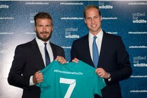 David Beckham et le prince William unis pour la vie sauvage