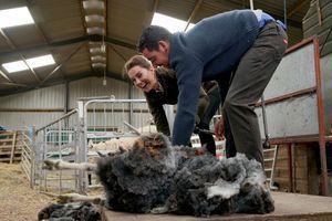Kate Middleton hilare pour tondre des moutons en Cumbria