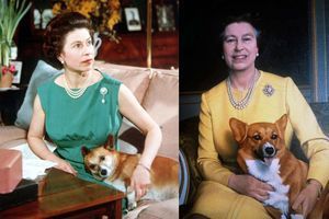 Elizabeth II avec un corgi en 1969 et en 1986