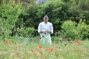 Glenn Viel en train d'expertiser un légume dans son jardin potager.