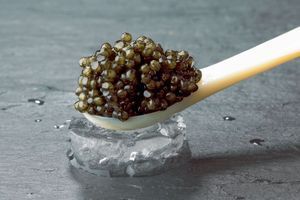 Le caviar se déguste nature, sans rien, frais, avec une cuillère en nacre et un verre de vodka glacé.