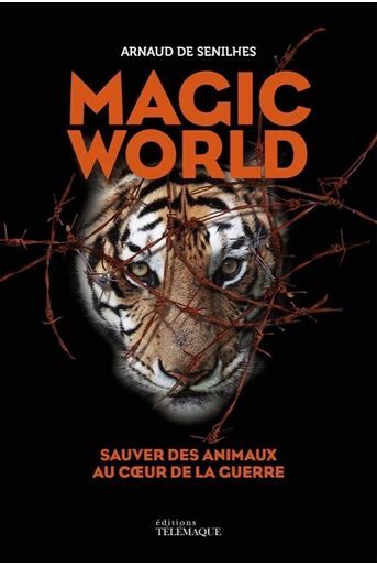 « Magic World », d’Arnaud de Senilhes, éd. Télémaque, 246 pages, 19 euros.