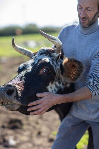 Alain, 58 ans, éleveur de veaux et commerçant (Auvergne-Rhône-Alpes).