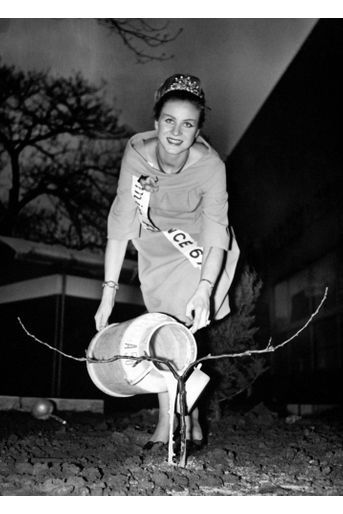 Jeanne Beck, Miss France 1967, baptise avec du lait frais un petit pommier, symbole du prochain salon de l'Agriculture à Paris, en février 1967.