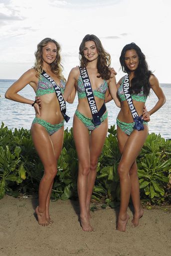 Les Miss posent par régions sur l&#039;île de la Réunion le 21 novembre 2021