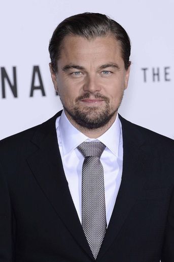 Leonardo DiCaprio - 30 millions de dollars.