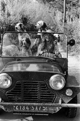 Brigitte BARDOT avec ses chiens au volant de sa Mini Moke, à la &quot;Madrague&quot;. BB a accepté d&#039;être filmée par son ami A. Bougrain-Dubourg pour l&#039;émission d&#039; Antenne 2 &quot;Les animaux et les hommes&quot;. Avril 1980.