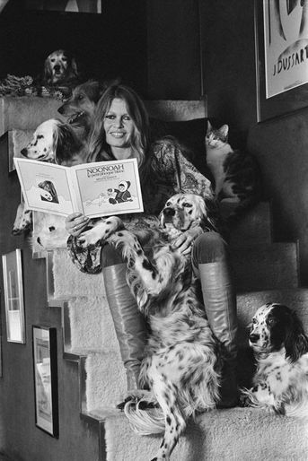 Brigitte BARDOT présente son livre pour enfants : &quot;Noonoah le petit phoque blanc&quot;. Elle ne se sépare jamais de ses chiens, Nini, Mouche, Mienne, Macho, ni de sa chatte. Mars 1978.