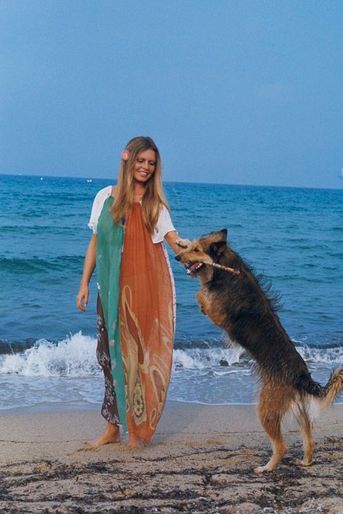 Saint-Tropez - Septembre 1974 --- Portrait de Brigitte BARDOT à l&#039;heure de son anniversaire : 40 ans. A la plage avec ses chiens.