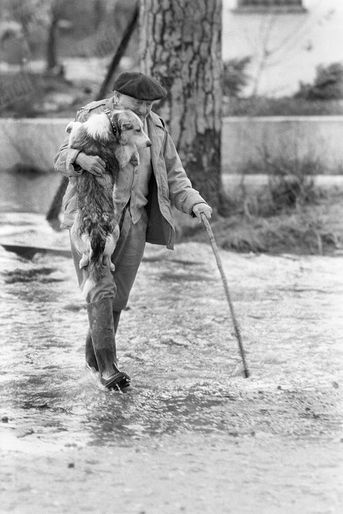 « Sur la route encore inondée, il i porte son sauveur qui maintenant a peur de l'eau. Bobby était un chien errant. Cest la GrOupUle qui lui donna son premier collier, le collier du sauvetage.   » - Paris Match n°558, 19 décembre 1959.   