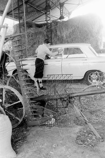 Raymond Poulidor entretient sa voiture Peugeot 404, dans la grange de la ferme de ses parents à Saint-Léonard-de-Noblat, dans le Limousin, en mars 1961