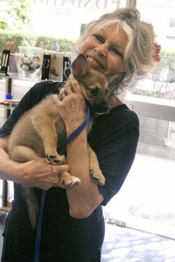 Brigitte BARDOT dans les locaux de sa fondation, tenant un chiot à adopter dans les bras.