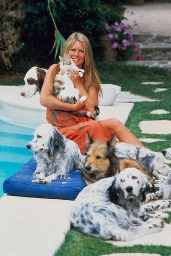 Brigitte BARDOT au bord de sa piscine à Saint-Tropez, entourée de ses chiens. Juillet 1980.