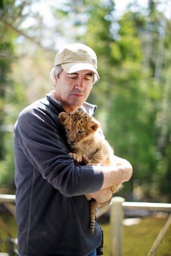 Le coordinateur animalier Andrew Simpson, spécialiste des loups, découvre le travail avec les lions.