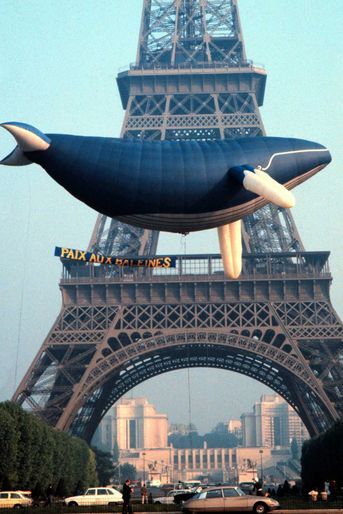 1 janvier 1978. Une baleine flotte dans les airs devant la Tour Eiffel pour sensibiliser les Parisiens à la lutte contre la pêche de ces mammifères géants.