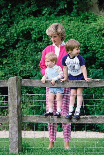 La princesse Diana avec ses fils les princes William et Harry, le 18 juillet 1986