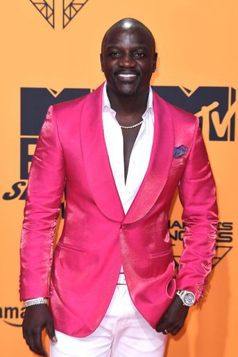 Le chanteur Akon a souvent dit dans ses interviews qu'il avait plusieurs compagnes. En 2013, il avait répété à TMZ<br />
 sa vision du concept de monogamie, qu'il qualifiait de «stupide». «Si l'Amérique adoptait cette culture [de la pologamie], il y aurait moins de conflits domestiques. (...) En fin de compte, en tant qu'hommes, nous sommes des reproducteurs naturels par nature. Nous ne pouvons même pas y échapper si nous le voulions», avait-il dit. 