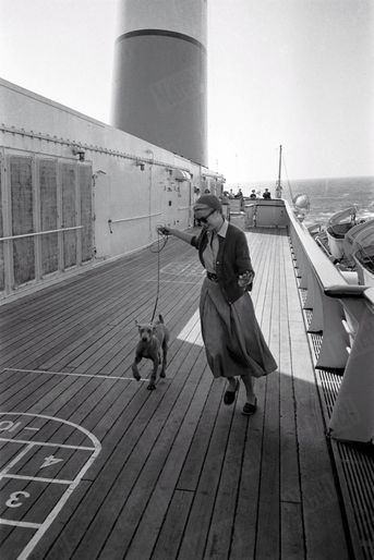 « Elle a appelé son chien Walter, comme notre photographe qui ne l’a pas quittée »- Paris Match n°367, 21 avril 1956