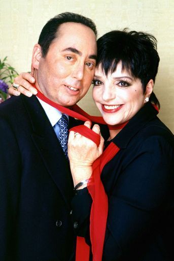 David Gest et Liza Minnelli se sont mariés en 2002. Moins de deux ans plus tard, les deux se sont mutuellement accusés de violences, de tentatives d&#039;empoisonnement, intentant des actions en justice pour plusieurs millions de dollars afin d&#039;obtenir réparation. Les deux ont finalement trouvé un accord trois plus tard, en 2007, abandonnant les poursuites.