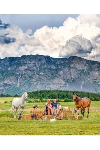 Un couple et ses animaux devant le splendide panorama des montagnes Rocheuses. 