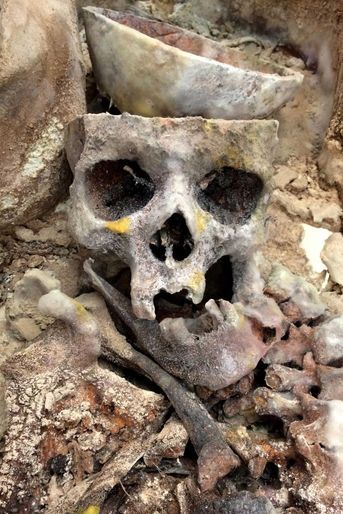 Vue de détail du crâne d’un des squelettes qui a été scié au moment du rituel funéraire, signe d’une pratique d’embaumement (locaux de l’Université de Caen).