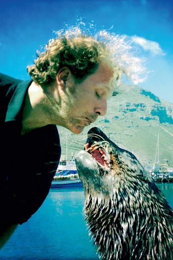 Ami-ami avec un lion de mer, dans le port de Hout Bay, en Afrique du Sud