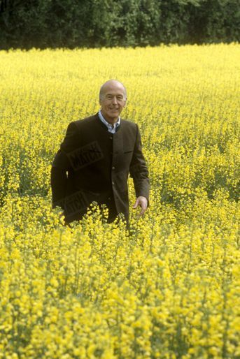 Valéry Giscard d'Estaing, dans sa propriété d'Authon dans le Loir-et-Cher, en mai 1985.
