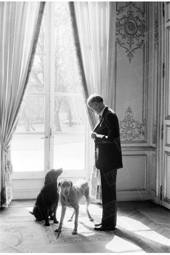 Valéry Giscard d'Estaing avec ses chiens au palais de l'Elysée en mars 1981.