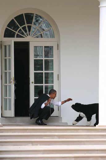 Barack Obama et Bo, en mars 2012.