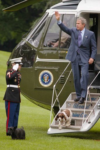 George W. Bush avec Spot et Barney, en juin 2003.