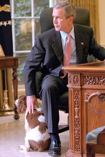 George W. Bush et Spot, en octobre 2001.